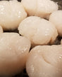 10/20 Dry Deep Sea Scallops